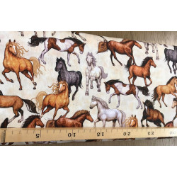 katoen wilde paarden